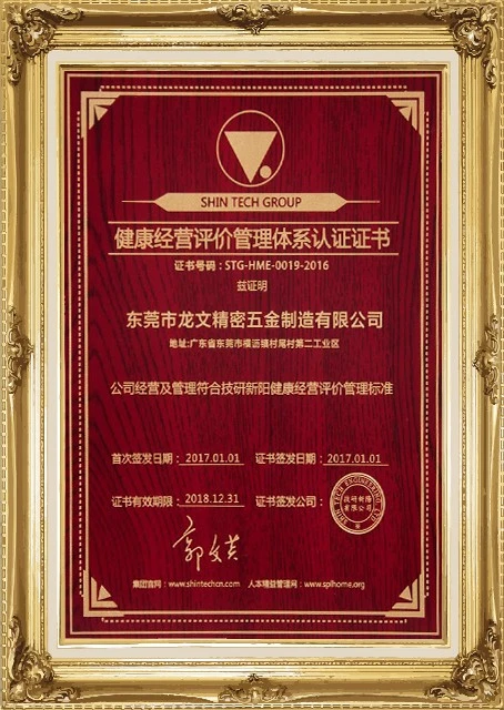 Management System Certification